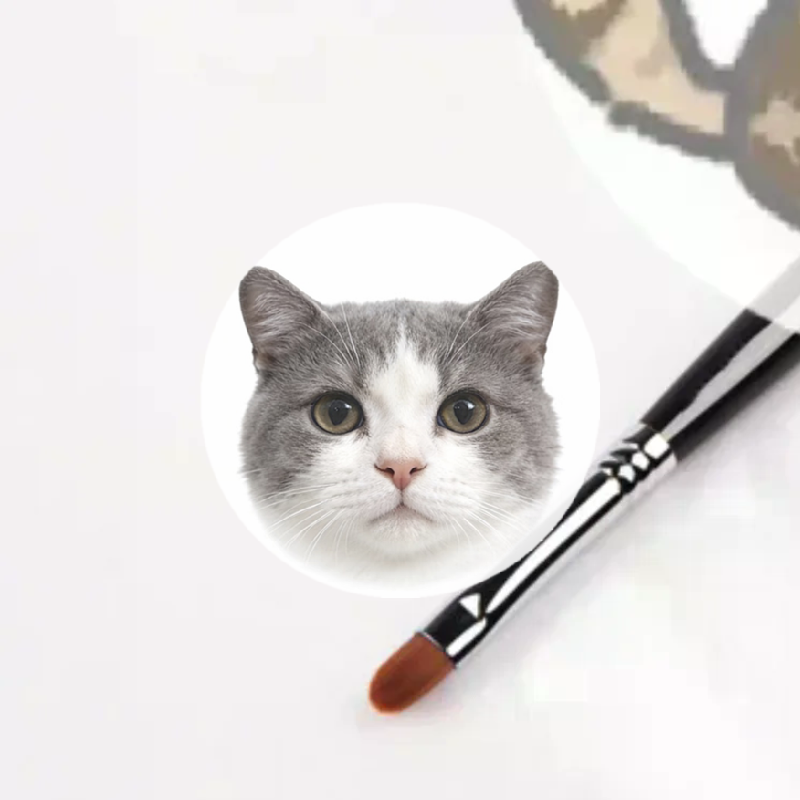 Beauty Makeup Eyeshadow - فرشاة مكياج للعيون وملمع الشفاه قابلة